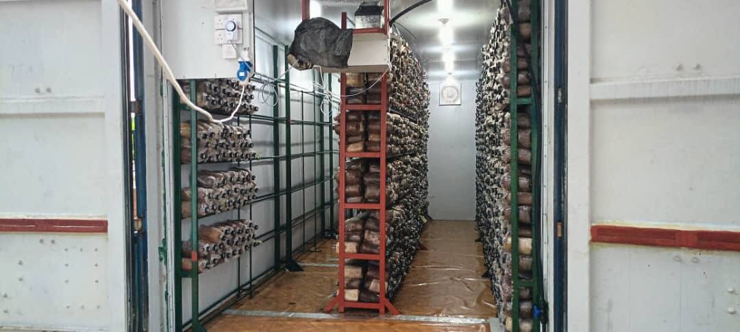 Wide view of a farm interior with substrate racking